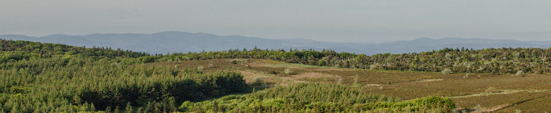 Tour Massif central - La Montagne Noire