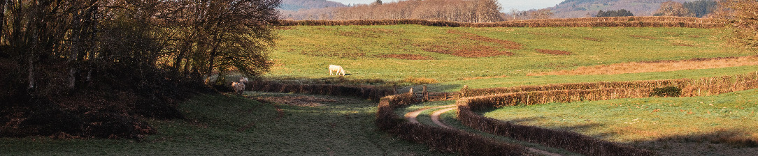 TourMassifCentral-Morvan